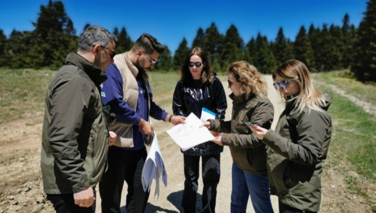 Ilgaz Dağı Milli Parkı’na Kamp Alanı Projesi uygulanacak