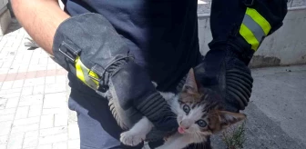 Alanya’da motosikletin içinde mahsur kalan yavru kedi kurtarıldı