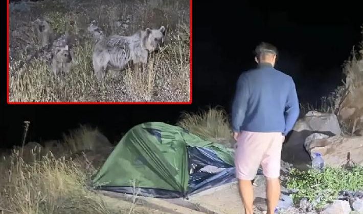 Polonyalı turist Tatvan’da ayı saldırısına uğradı