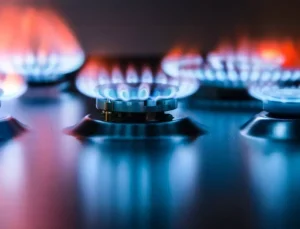 Gözler doğal gaz fiyatındaydı! BOTAŞ son rakamları duyurdu