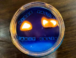 Gastro Niğde Derneği, Vali Çelik ile Ziyaret Gerçekleştirdi