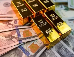 Merkez Bankası rezervlerinde tarihi zirve