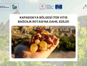 Kapadokya, Iter Vitis Bağcılık Rotası’na Dahil Oldu